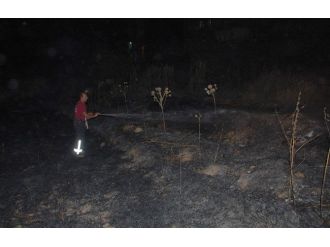 Anız Yangını Çevre Sakinlerini Korkuttu