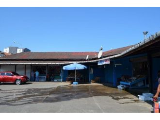 Trabzon’da Balıkçılar Umduğunu Bulamadı