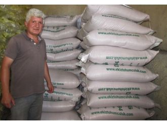 Hisarcık Tarım Kredi Kooperatifi’nden Çiftçilere Sertifikalı Tohumluk