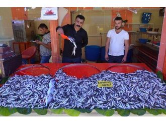 Yasak Bitti, Balık Tezgahları Şenlendi