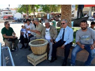 Foça’da Balıkçılar Vira Bismillah Dedi