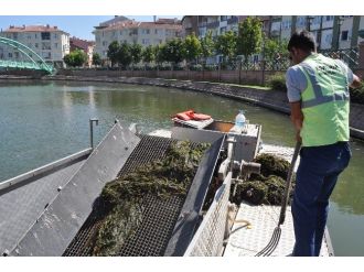 Porsuk’ta Yosun Temizliği