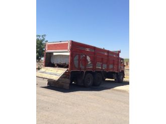 Boru Hattından Petrol Çaldılar