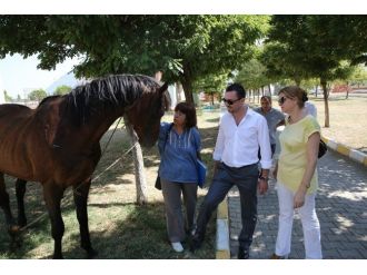 Magider’den Can Dostlara Anlamlı Ziyaret