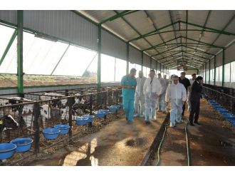 Vali Bektaş’tan Talu Çiftliğine Ziyaret