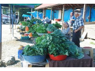 Yayla Yolunda Organik Pazar