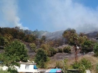 Zonguldak’ta Orman Yangını