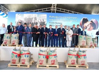 Yeni Sezon Fındık İhracatı Akçakoca’da Şenlikle Start Aldı