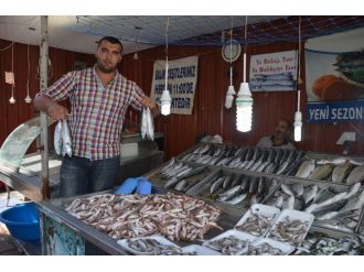 Tezgahlar Balık Çeşitleriyle Şenlendi