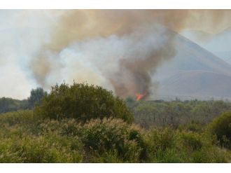 Aşkale’de Korkutan Ot Yangını