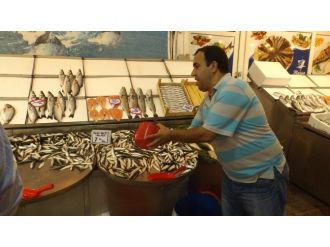 Av Sezonunun Açılmasıyla Birlikte Balık Fiyatları Düştü