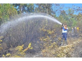 Orman Yangını Kontrol Altına Alındı