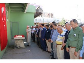 Ak Parti’den Yunus Koca Ve Tüm Şehitler İçin Gıyabi Cenaze Namazı