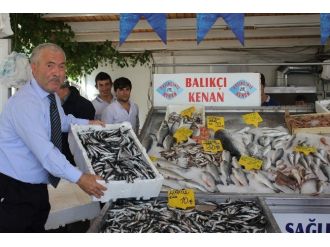 Hamsinin Bolluğu Yüzleri Güldürdü