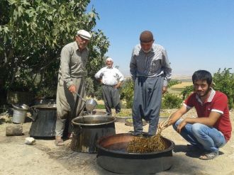 Samsat’ta Bağbozumu Başladı
