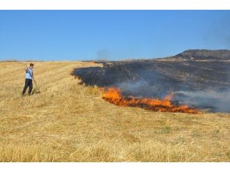 Arazi Yangınını Kürekle Söndürdüler