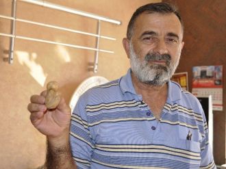 Tarladan Çıkan Patates Görenleri Hayrete Düşürdü