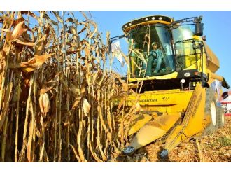 Girmen: “Mısır Üreticisi Kilo Başına 50 Kuruş Zararda”