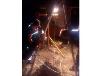 Kuyuya Düşen Kuzuyu Akut Kurtardı