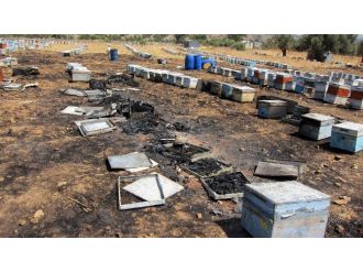 Söke’de 1500 Kovan Yandı, Zarar 900 Bin Tl