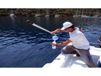 114 Noktada Su Kalitesi İnceleniyor