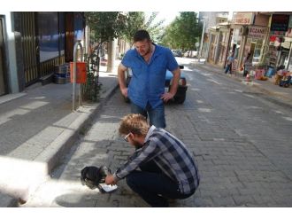 Otomobilin Ezdiği Yaralı Köpeğe Vatandaş Sahip Çıktı