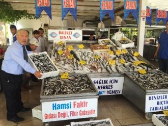 Marmara Denizi’nde Hamsi Bolluğu