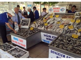 Marmara’da Balık Bolluğu Fiyatları Düşürdü
