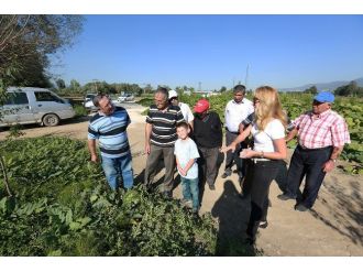 Bolulu Çiftçiler Bebek Meyve Ormanını Ziyaret Etti