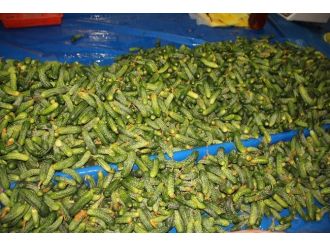 Turşuluklar Tezgahlardaki Yerini Aldı