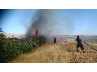 Kulu’da Anız Ve Sazlık Alan Yangın