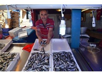 Karadeniz’e Hamsi Erken Geldi