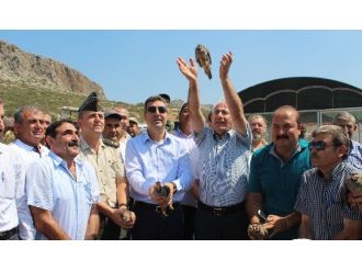 Ceyhan’da 500 Keklik Doğayla Buluştu