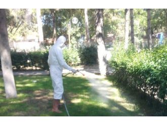 Kula’da Yeşil Alanlar İlaçlanıyor