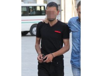 31 Paket Bonzai İle Yakalandı