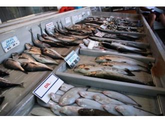 Ticari Amaçlı Su Ürünleri Avcılığını Düzenleyen Tebliğ Yayınlandı