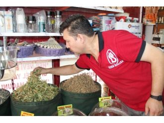 Ihlamur İçmek Lüks Oldu