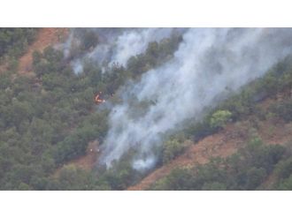 Hakkari’de 5 Ayrı Noktada Orman Yangını