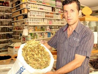 Samsun’da Ihlamurun Kilosu 45-50 Liradan Satılıyor