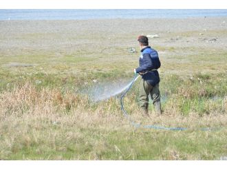 Tuşba Belediyesi’nden Sivrisinek Ve Haşereyle Mücadele Çalışması