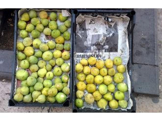 Adıyaman İncirleri Satılmaya Başladı