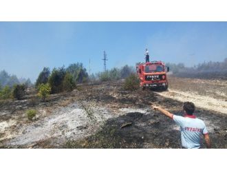 Alaplı’da 4 Dönümlük Çalılık Alanda Yangın Çıktı