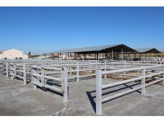 Sungurlu’ya Yeni Hayvan Pazarı Yapılıyor
