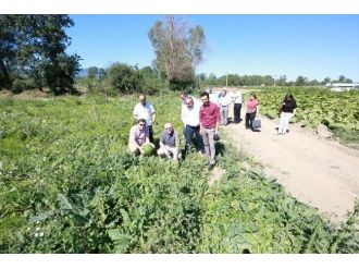 İl Genel Meclis Üyeleri Bebek Meyve Ormanını Ziyaret Etti