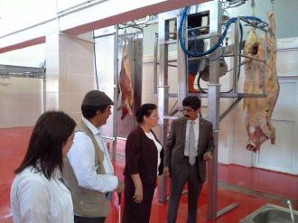 Ağrı Belediyesi Mezbahanesinde Kesimler Başladı