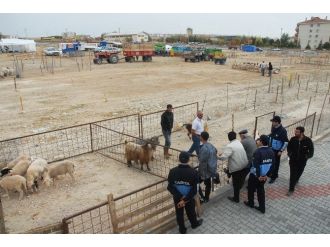 Karaman’da Kurban Satış Ve Kesim Yerleri Belirlendi