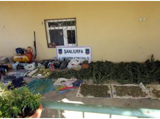 Şanlıurfa’da Kaçak Sigara Ve Esrar Operasyonu