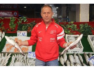 Balık Sezonu Açıldı Hamsinin Kilosu 10 Tl Oldu