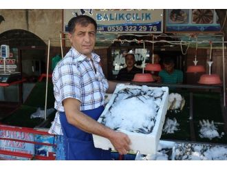 Kilis’te Balık Tezgaha İndi