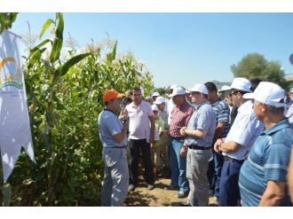 Acıpayam Tarla Günü Gerçekleştirildi